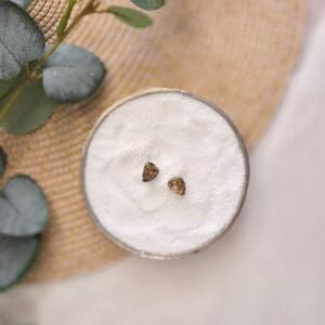 Aileen - Stud bruin, goud en elegant